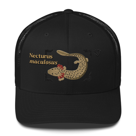 Common Mudpuppy "Necturus maculosus" Embroidered Black Trucker Hat Front Mockup