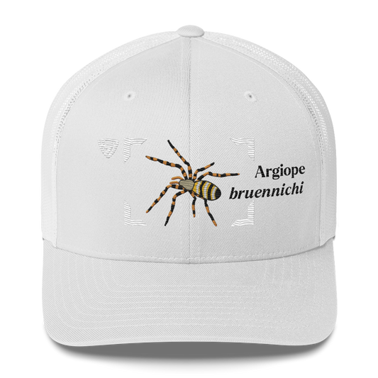 Wasp Spider "Argiope bruennichi" Embroidered Charcoal White Trucker Hat Front View