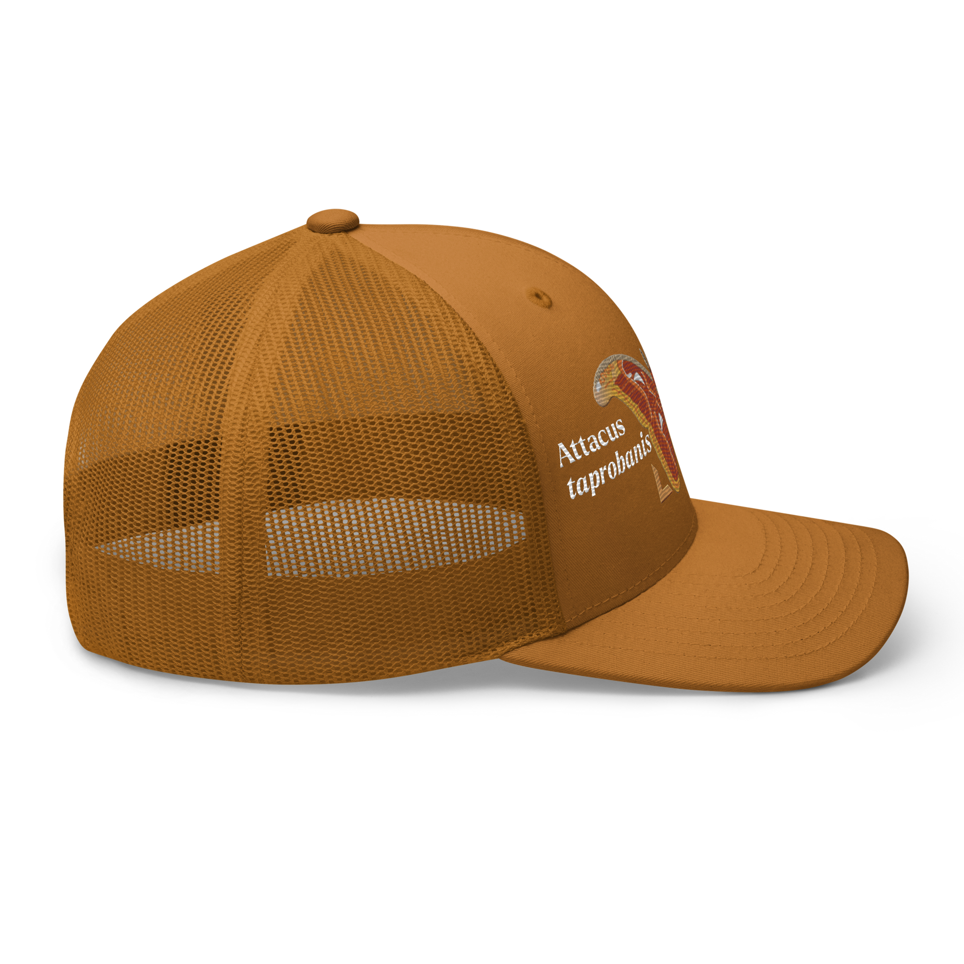 Atlas Moth "Attacus taprobanis" Embroidered Caramel Trucker Hat Right Mockup