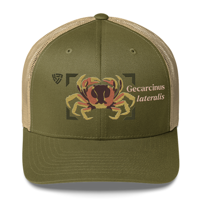 Blackback Land Crab "Gecarcinus lateralis" Embroidered Moss Green & Khaki Trucker Hat Front Mockup
