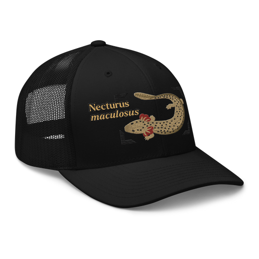Common Mudpuppy "Necturus maculosus" Embroidered Black Trucker Hat Right Front Mockup