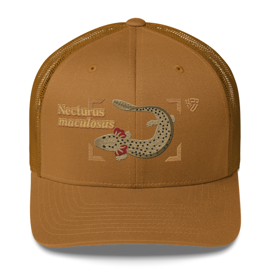 Common Mudpuppy "Necturus maculosus" Embroidered Caramel Trucker Hat Front Mockup