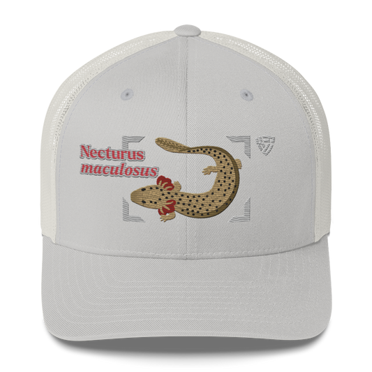 Common Mudpuppy "Necturus maculosus" Embroidered Silver Trucker Hat Front Mockup