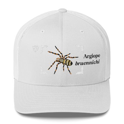 Wasp Spider "Argiope bruennichi" Embroidered Charcoal White Trucker Hat Front View